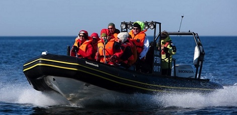 Speed | RIB Powerboats (not available) | Day Activities | The Weekend In Tallinn
